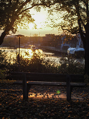 Happy bench monday