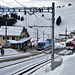 Rigi Staffel 2022,  1600 m ü M.