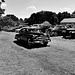 hhbfrjul292022 (1235)