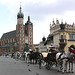 Pferde-Sightseeing in Kraków