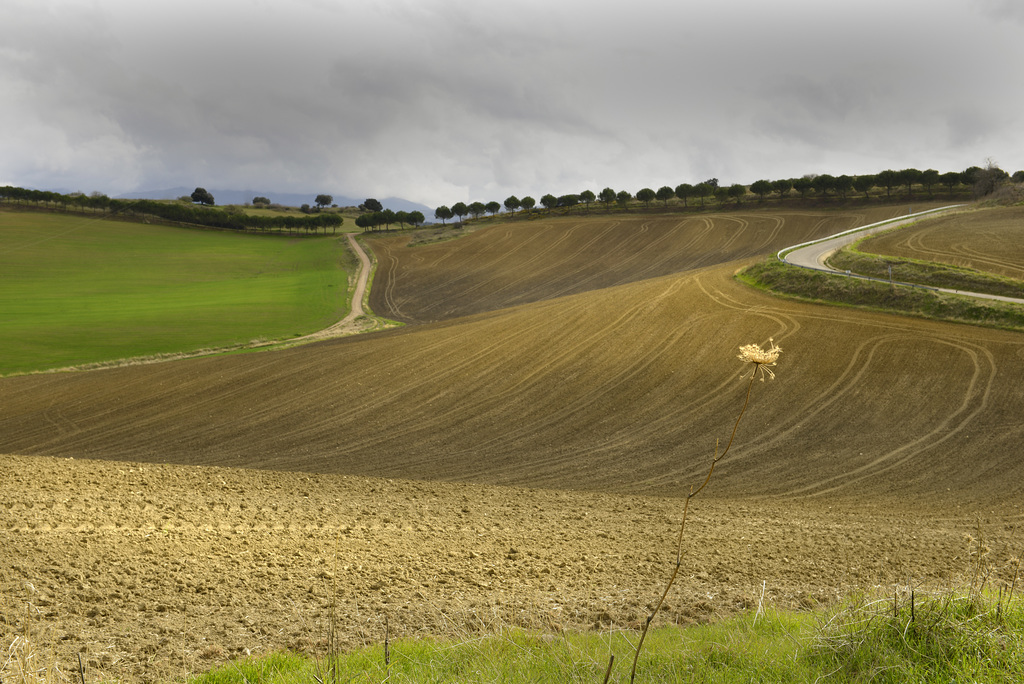 Serrania de Ronda