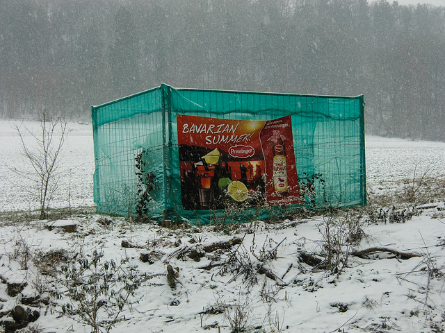 In der Oberpfalz zieht der Sommer ein!