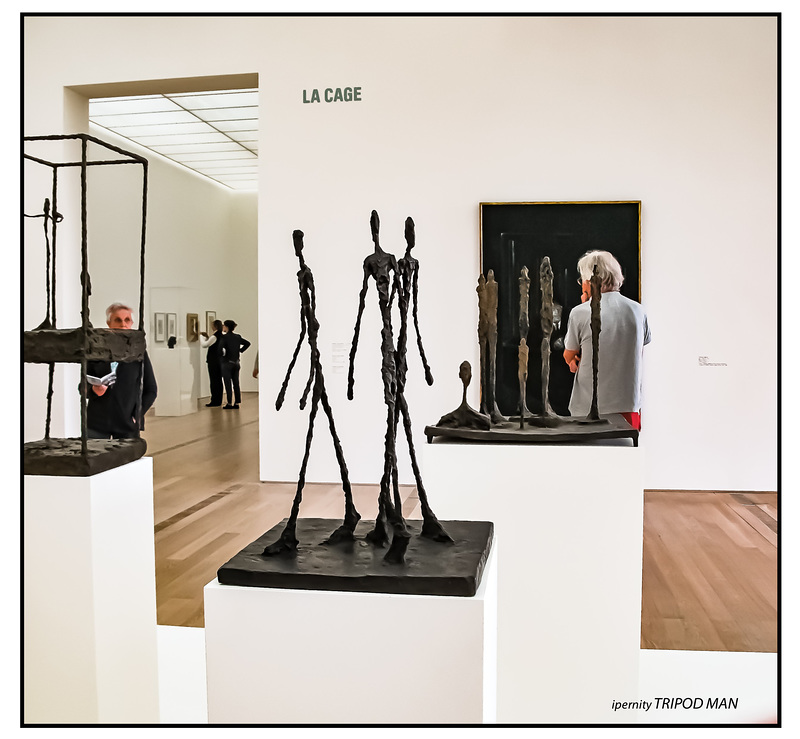 Stark abgemagert - - -