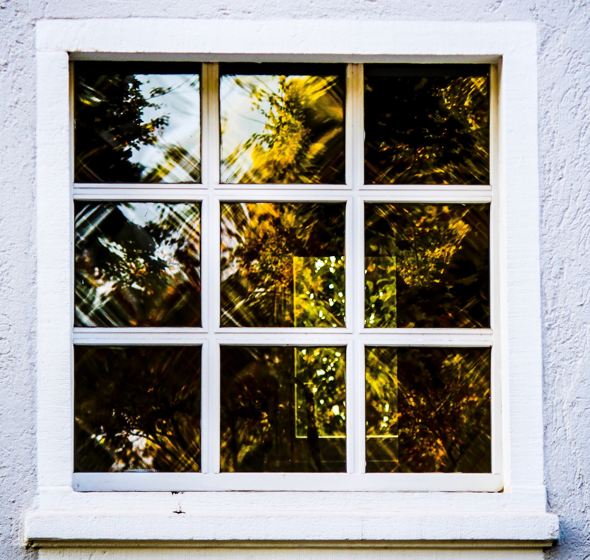 Reflections