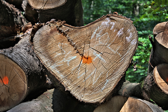 Herz aus Holz