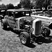hhbfrjul292022 (1236)