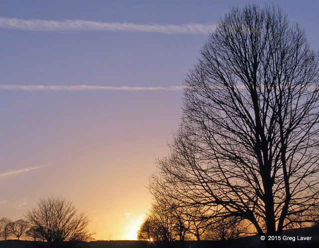 Evening sky