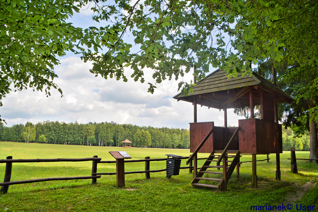 European bison observation tower on the Polish-Belarusian border