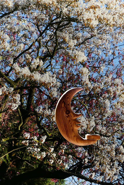 Nachmittags-Mond im Frühling