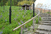 Walkway At The Eden Project