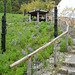 Walkway At The Eden Project