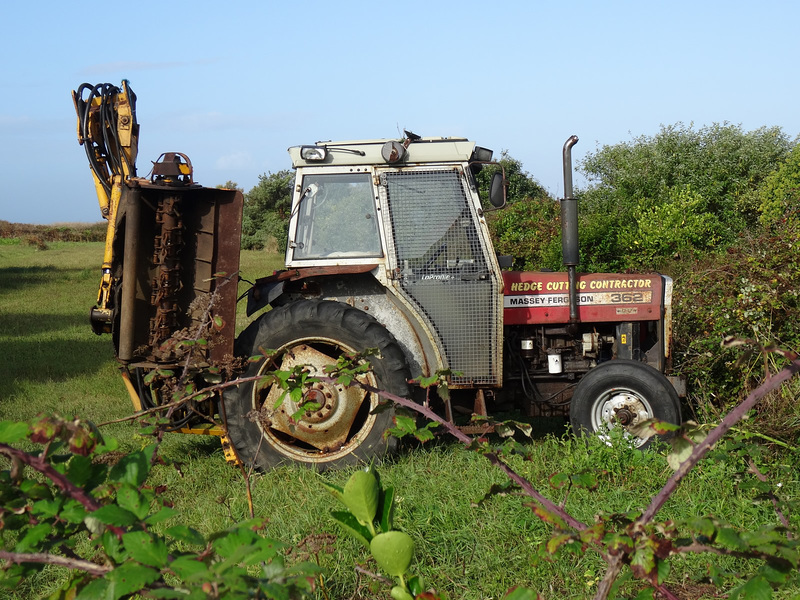 gysep2019trac (1010)