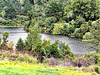 By The Karapiro Dam.