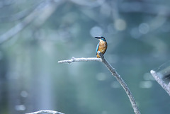 261 von 365 261 von 365