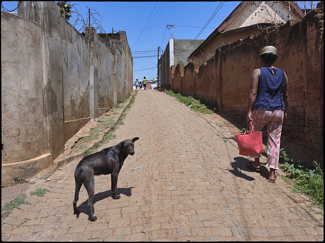 Retour à Madagascar