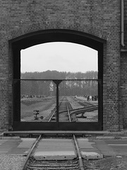 Auschwitz (51) - 19 September 2015