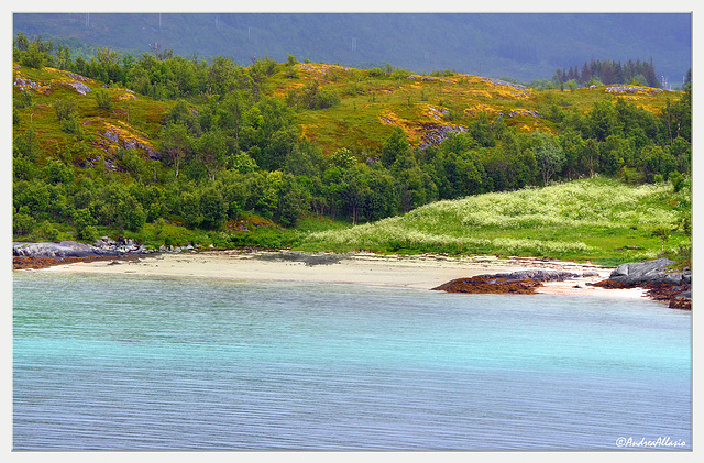 White Laukvika beach