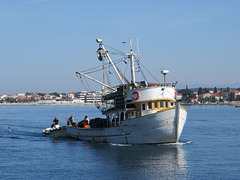 Zadar : bateau de pêche.
