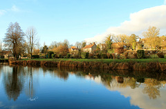 Reflet au bord de l'étang