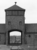Auschwitz (52) - 19 September 2015