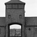 Auschwitz (52) - 19 September 2015
