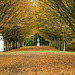 Anglesey Abbey 2011-11-04 032