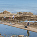 People enjoying exploring the rock pools