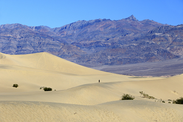 Mesquite Flat Sand Dunes