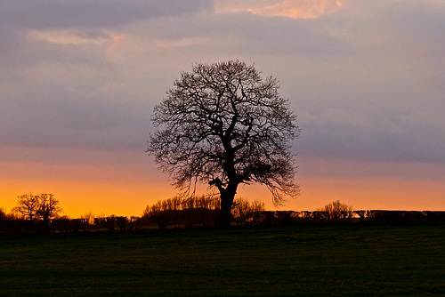 Gnosall sunset