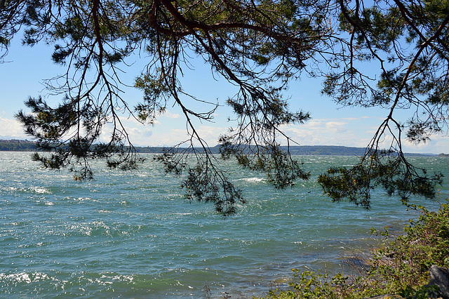 Starker Westwind am Bielersee ( Föhnsturm )