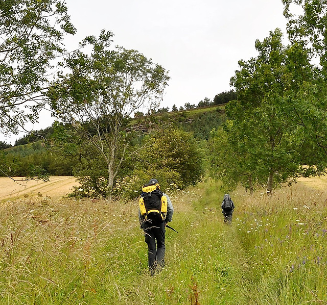 Scotland St. Cuthbert's Way (PiP)