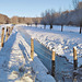Happy Snow Fence Friday