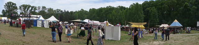 Panorama of the Virginia Renaissance Festival