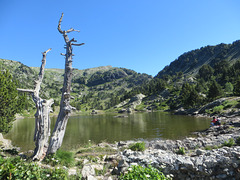 LE LAC ACHARD