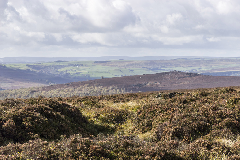 View west to Over Owler Tor from Houndkirk Road