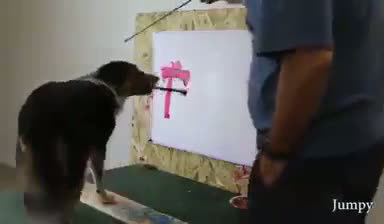 dog art