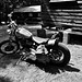 hhbfrjul292022 (1240)