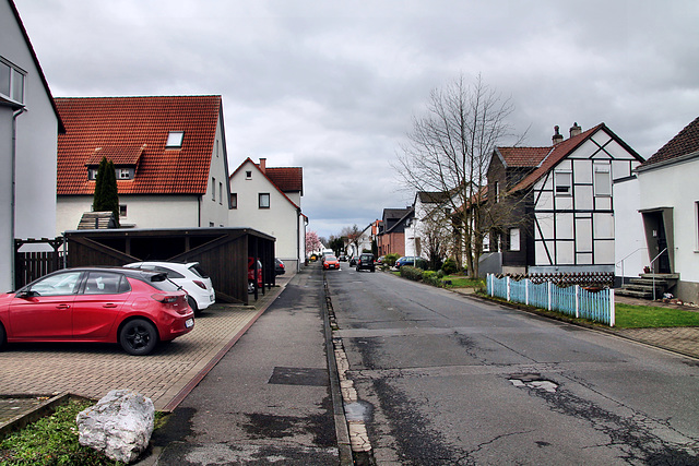 Blumenstraße (Unna-Königsborn) / 16.03.2024