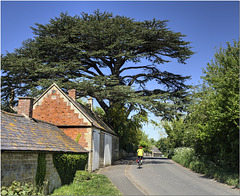 Weston-sub-Edge, Gloucestershire