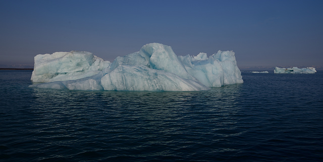 Dagens Fangst Cruise