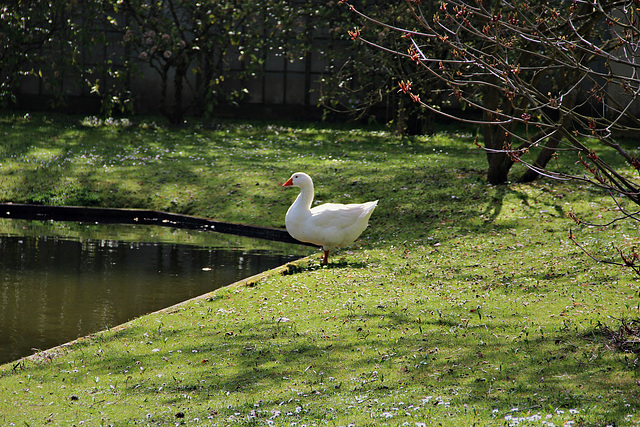 Frühling 2016