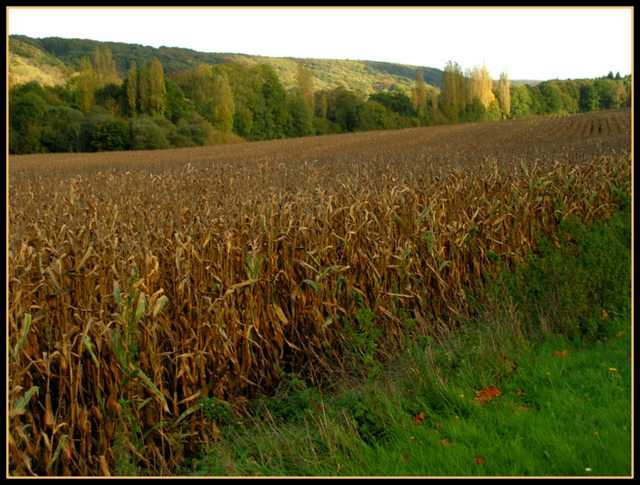 Hameau de Maincourt