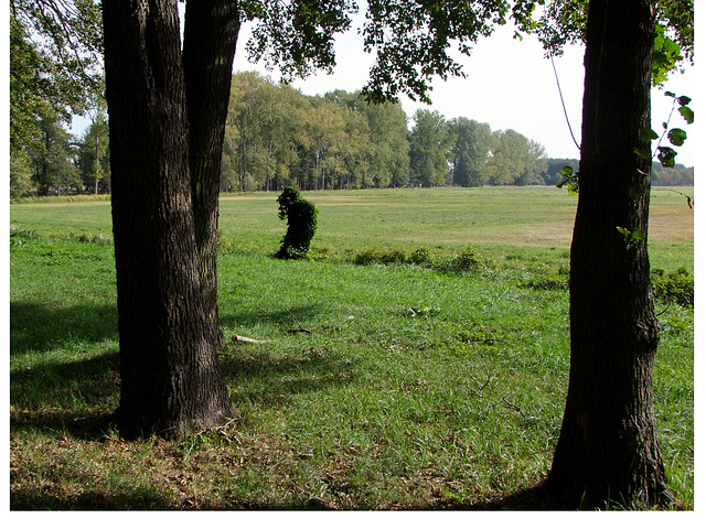 Ein Spreewald - Troll