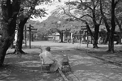 Mid-afternoon in a temple precinct