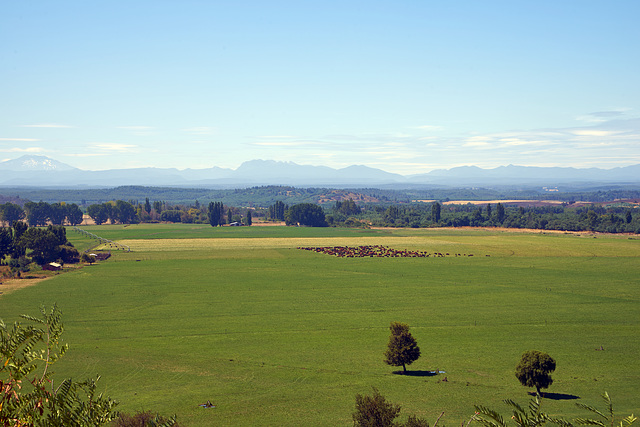 View to the Andes from Mulchen cementary _Chile