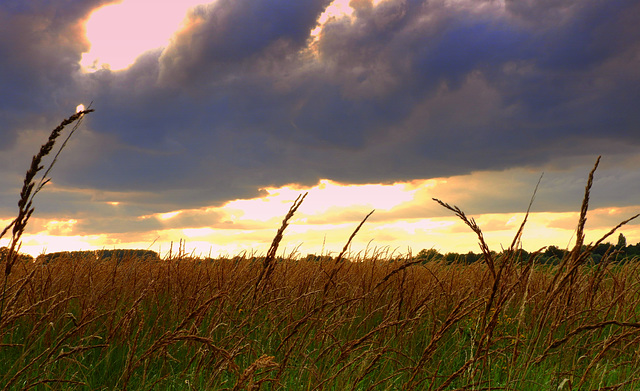 Thunderstorm rest