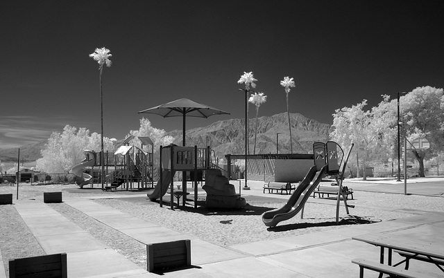 Wardman Park Playground (1039)