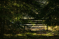 Hidden Bench Monday