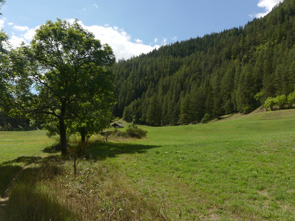 20220828 -11 Ubaye (Alpes de Haute Provence) (705)