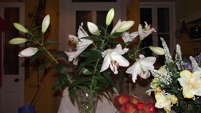 Lovely lilies given by neighbour